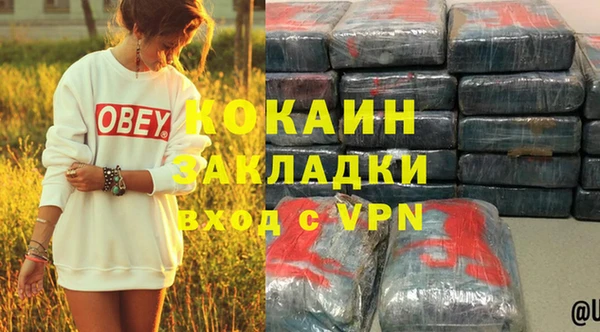 винт Алзамай