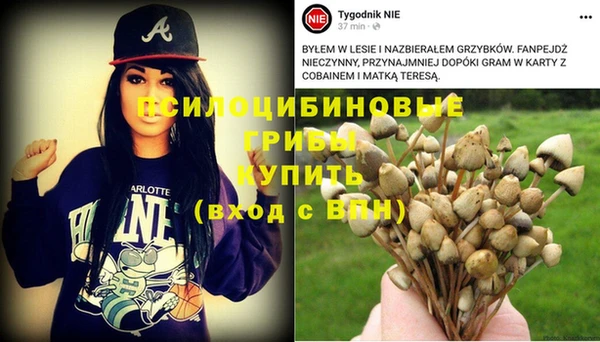 PSILOCYBIN Алексеевка