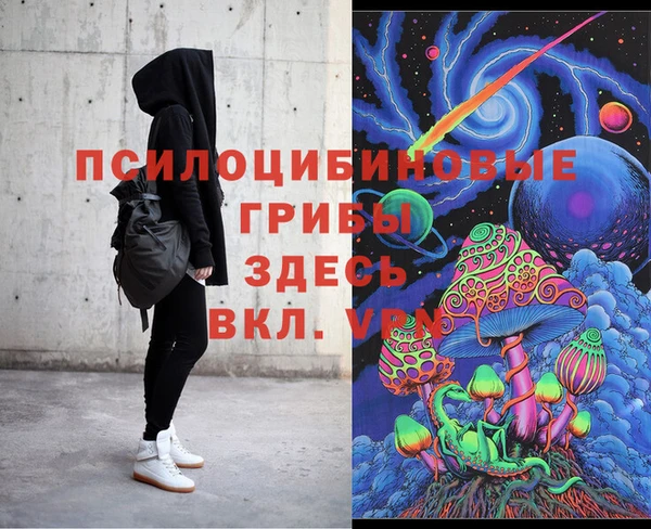 винт Алзамай