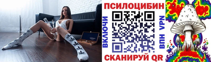 Псилоцибиновые грибы Psilocybe  цена   Похвистнево 